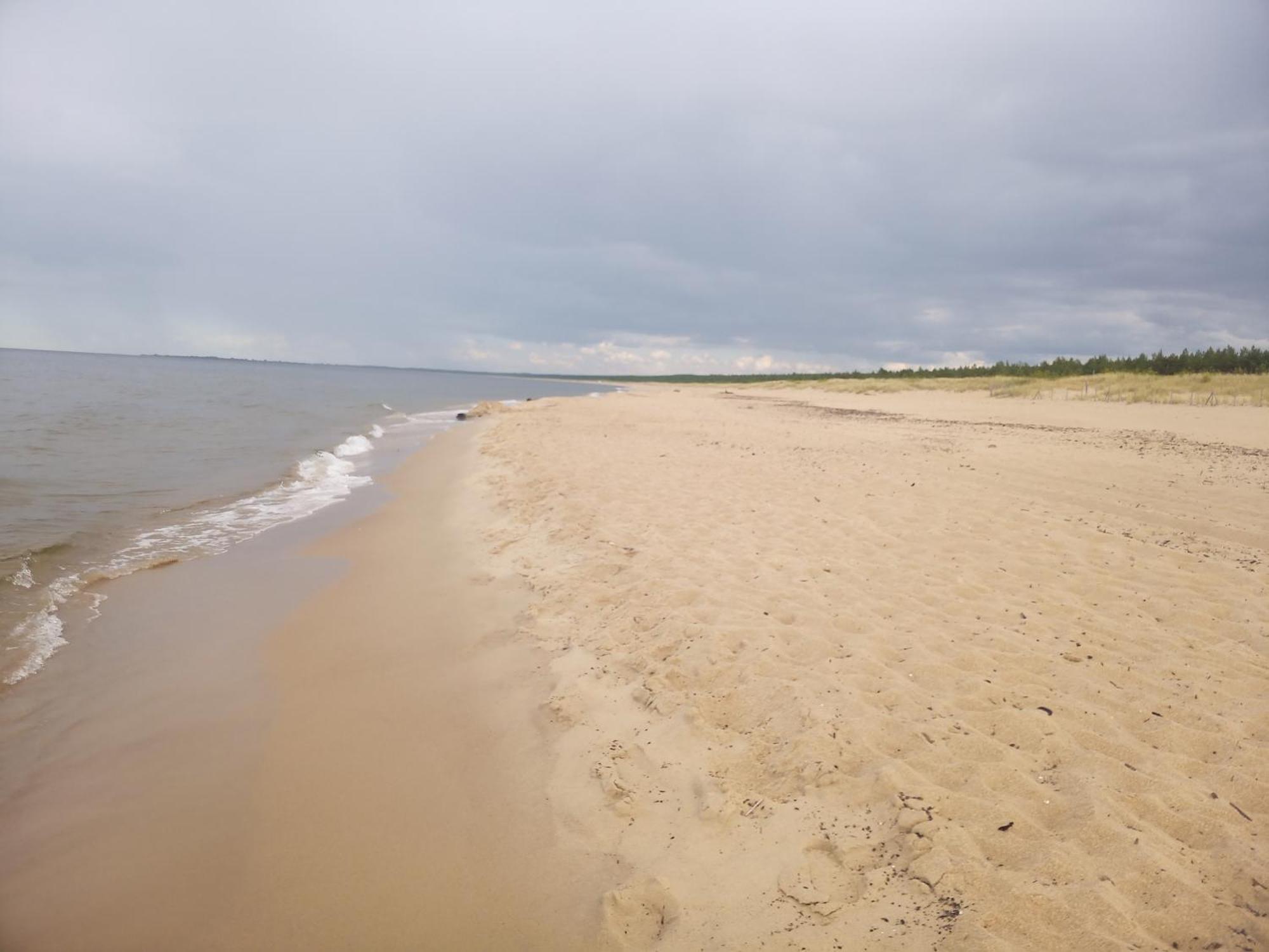 Pokoje Sobie Na Wyspie Gdańsk Extérieur photo